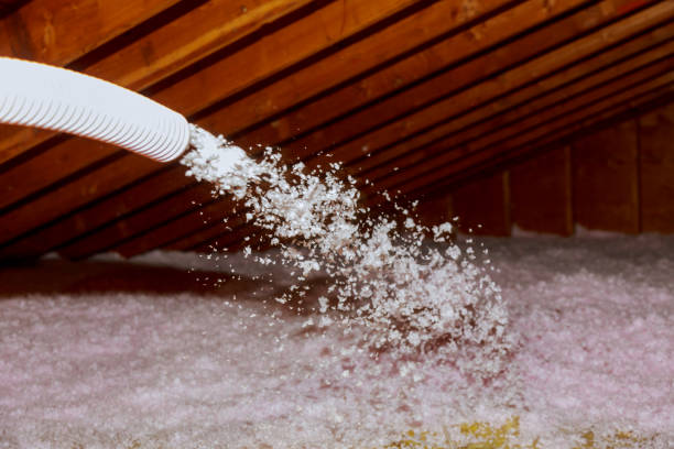 Best Energy Efficiency Solutions in Tropical Park, FL