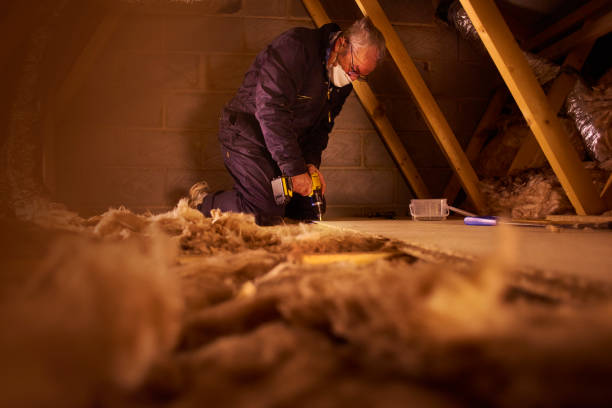 Best Insulation for Specific Applications in Tropical Park, FL